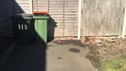 Choosing a waste removal service in Coney Hall