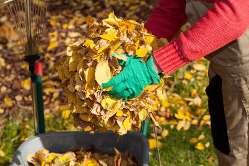 Eco-friendly waste management solutions for businesses